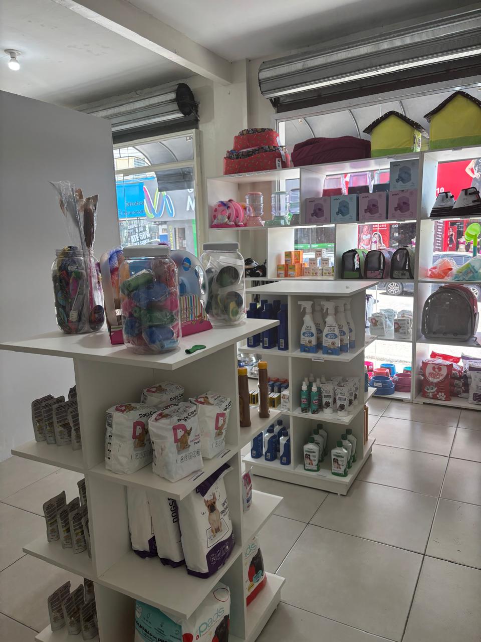 Galeria Smile Dog Imagem 2